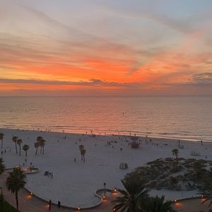 Meet your Posher, Greyson